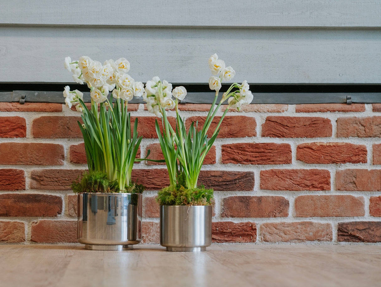 From The Anvil - Satin Marine SS (316) 12.5cm Newlyn Pot | Sku. 50764 | Trade Door Handles.