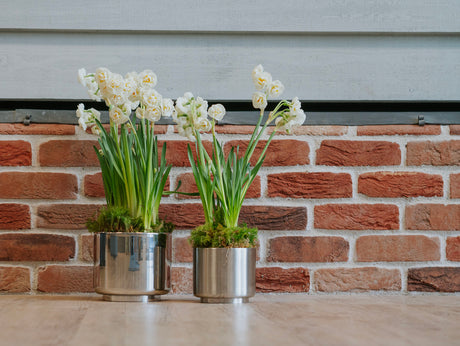 From The Anvil - Satin Marine SS (316) 12.5cm Newlyn Pot | Sku. 50764 | Trade Door Handles.