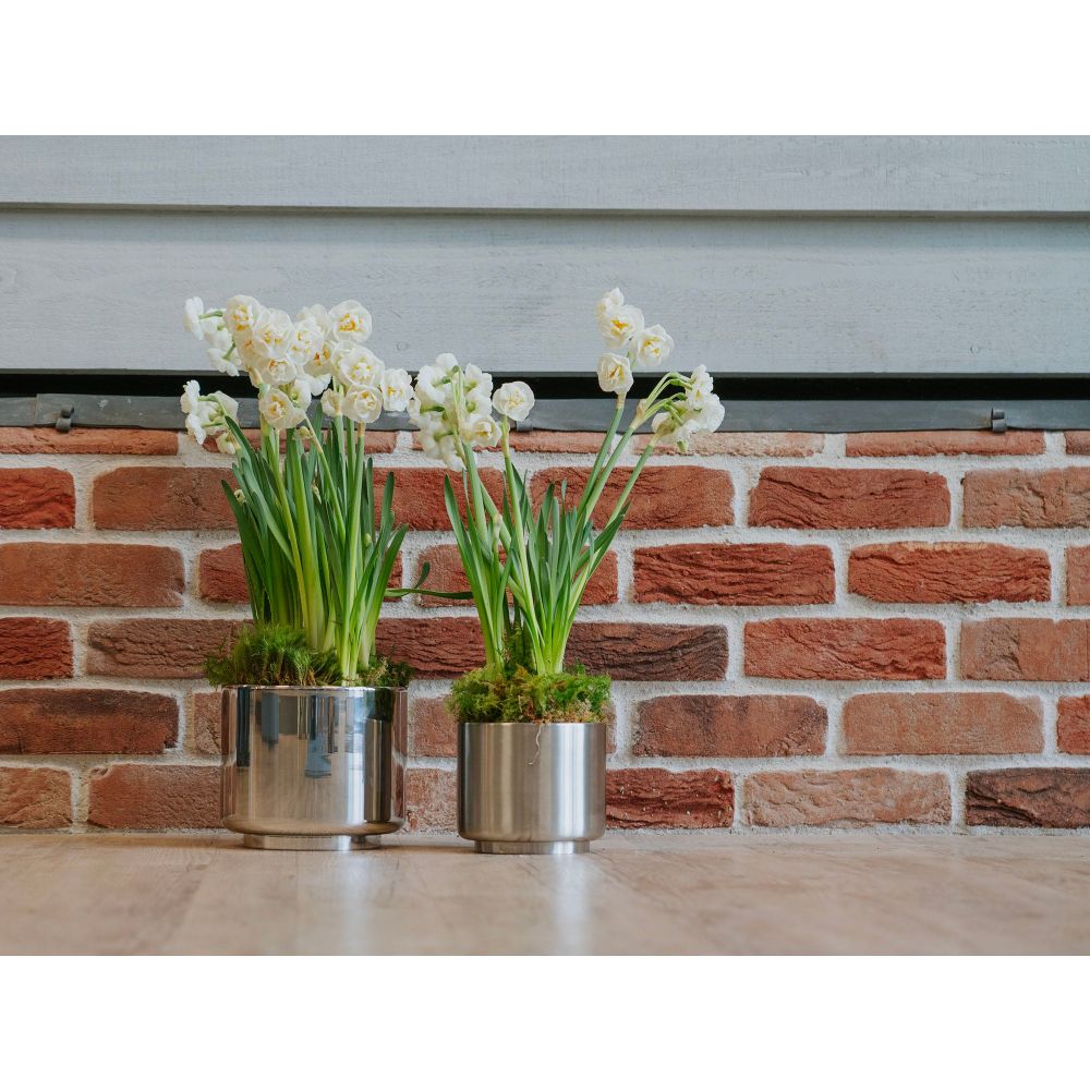 From The Anvil - Satin Marine SS (316) 12.5cm Newlyn Pot | Sku. 50764 | Trade Door Handles.