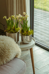 From The Anvil - Satin Marine SS (316) 16cm Newlyn Pot | Sku. 50765 | Trade Door Handles.