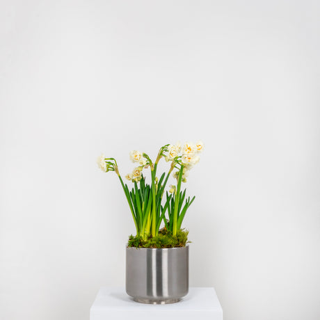 From The Anvil - Satin Marine SS (316) 16cm Newlyn Pot | Sku. 50765 | Trade Door Handles.