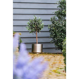 From The Anvil - Satin Marine SS (316) 28cm Newlyn Pot | Sku. 50766 | Trade Door Handles.