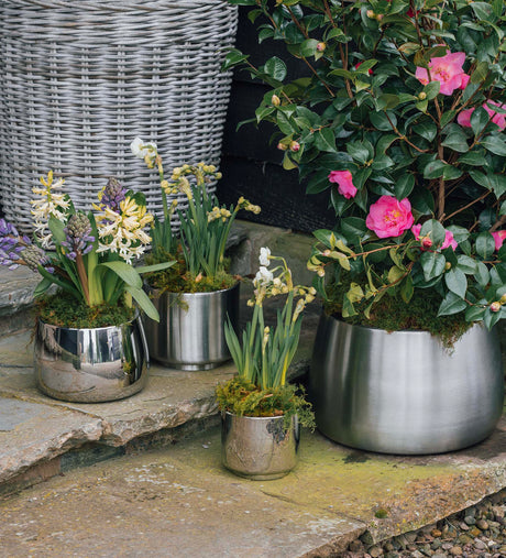 From The Anvil - Polished Marine SS (316) 12.5cm Newlyn Pot | Sku. 50767 | Trade Door Handles.