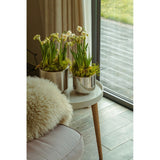 From The Anvil - Polished Marine SS (316) 12.5cm Newlyn Pot | Sku. 50767 | Trade Door Handles.