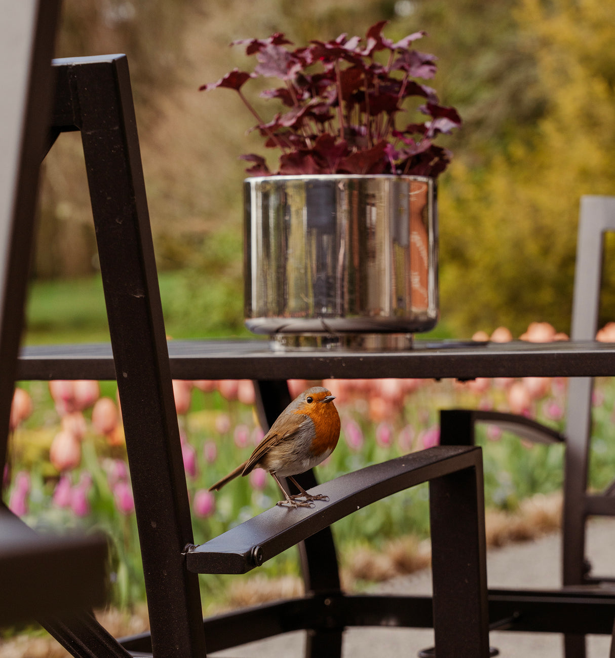 From The Anvil - Polished Marine SS (316) 16cm Newlyn Pot | Sku. 50768 | Trade Door Handles.