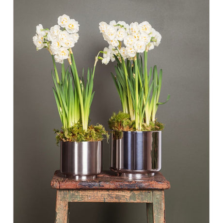 From The Anvil - Polished Marine SS (316) 16cm Newlyn Pot | Sku. 50768 | Trade Door Handles.