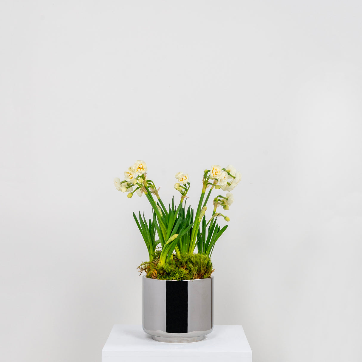 From The Anvil - Polished Marine SS (316) 16cm Newlyn Pot | Sku. 50768 | Trade Door Handles.