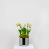 From The Anvil - Polished Marine SS (316) 16cm Newlyn Pot | Sku. 50768 | Trade Door Handles.