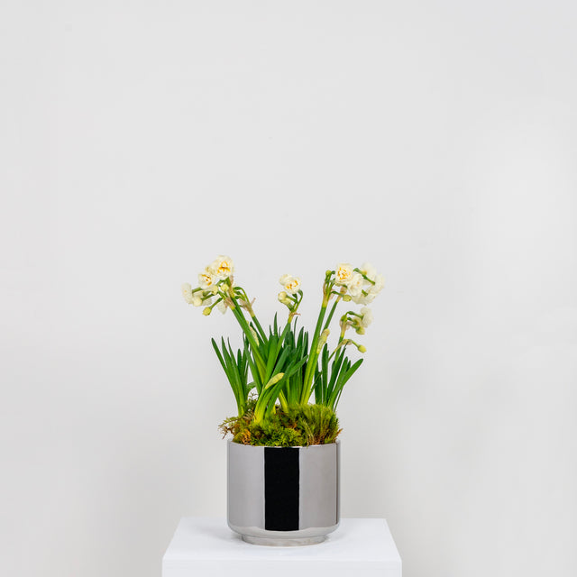 From The Anvil - Polished Marine SS (316) 16cm Newlyn Pot | Sku. 50768 | Trade Door Handles.