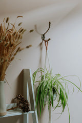 From The Anvil - Burnished Brass Hat & Coat Hook | Sku. 51303 | Trade Door Handles.