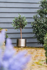 From The Anvil - Satin Marine SS (316) 28cm Newlyn Pot (Drainage holes) | Sku. 51322 | Trade Door Handles.