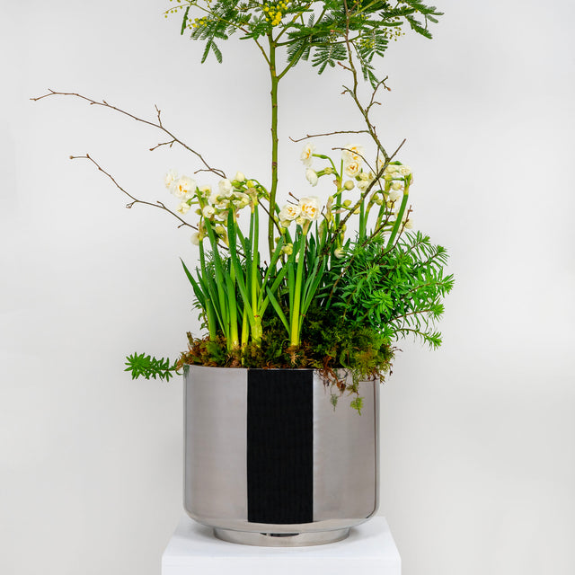 From The Anvil - Polished Marine SS (316) 28cm Newlyn Pot (Drainage holes) | Sku. 51323 | Trade Door Handles.