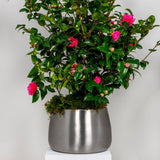 From The Anvil - Satin Marine SS (316) 28cm Hepworth Pot (Drainage holes) | Sku. 51324 | Trade Door Handles.