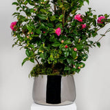 From The Anvil - Polished Marine SS (316) 28cm Hepworth Pot (Drainage holes) | Sku. 51325 | Trade Door Handles.