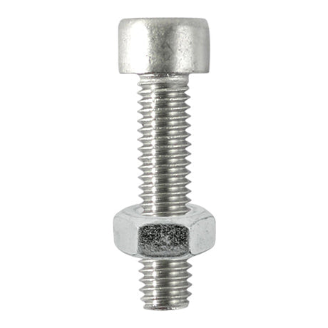 This is an image of Timco - Socket Screws & Hex Nuts - Cap - Stainless Steel M6 x 16mm - (8 PCS TIMpac) 616CAPSSP