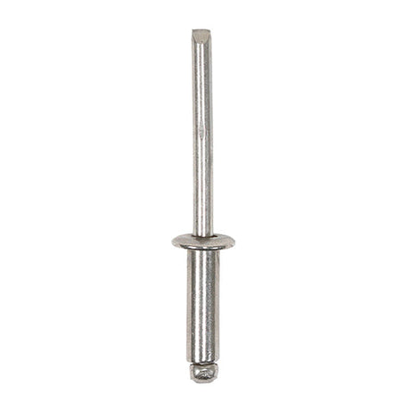 This is an image of Timco - Rivets - Dome Head - A2 Stainless Steel 4.8 x 16mm - (250 PCS Box) 748305
