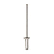 This is an image of Timco - Rivets - Dome Head - A2 Stainless Steel 3.2 x 8mm - (500 PCS Box) 748613