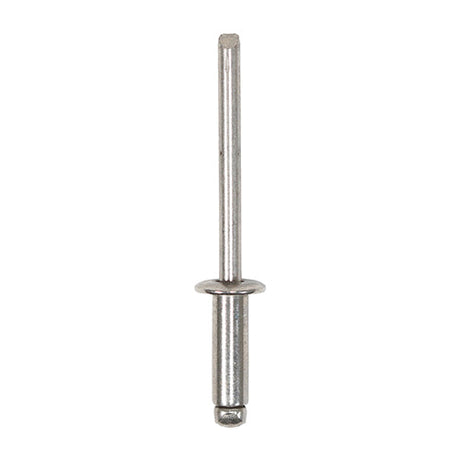 This is an image of Timco - Rivets - Dome Head - A2 Stainless Steel 4.8 x 14mm - (250 PCS Box) 748868