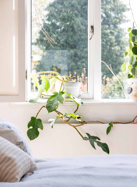 From The Anvil - Antique Pewter Peardrop Fastener | Sku. 83698 | Trade Door Handles.