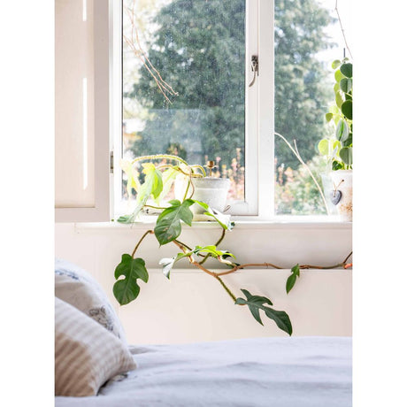 From The Anvil - Antique Pewter Peardrop Fastener | Sku. 83698 | Trade Door Handles.