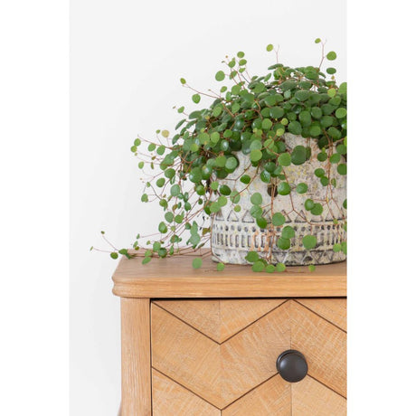 From The Anvil - Aged Bronze Mushroom Cabinet Knob 38mm | Sku. 90344 | Trade Door Handles.