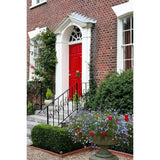 From The Anvil - Polished Brass 57mm Mushroom Mortice/Rim Knob Set | Sku. 91529 | Trade Door Handles.