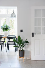 From The Anvil - BN Single LED Dimmer Switch | Sku. 91796 | Trade Door Handles.