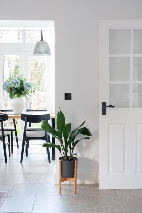 From The Anvil - BN Single LED Dimmer Switch | Sku. 91796 | Trade Door Handles.