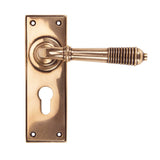 From The Anvil - Polished Bronze Reeded Lever Euro Lock Set | Sku. 91916 | Trade Door Handles.