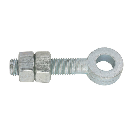This is an image of Timco - Adjustable Gate Eyes with Nuts - Zinc M12 x 100 (1 Each Unit) AGE12100Z