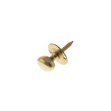Quality image of Atlantic Rack Bolt Oval Thumbturn - Polished Brass | Sku. arbtpb | available from Trade Door Handles.