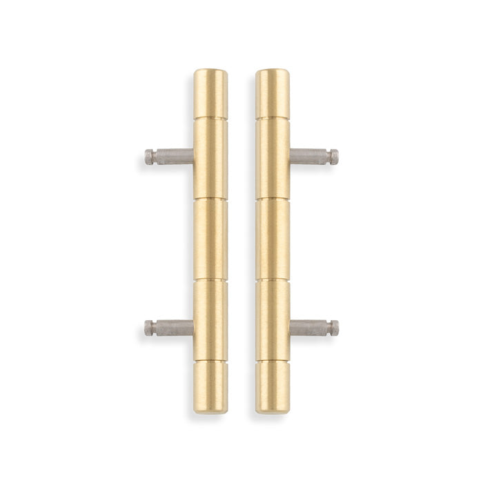Alexander & Wilks - Cabinet Brass Dummy Hinge-Satin Brass Pvd aw000-64-sbpvd