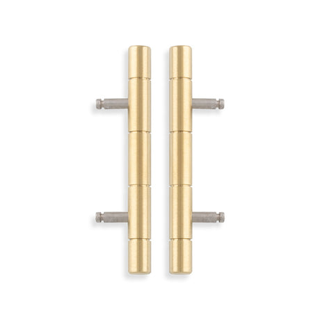 Alexander & Wilks - Cabinet Brass Dummy Hinge-Satin Brass Pvd aw000-64-sbpvd