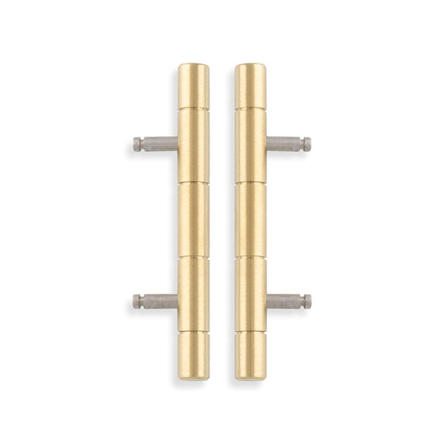 Alexander & Wilks - Cabinet Brass Dummy Hinge-Satin Brass Pvd aw000-64-sbpvd