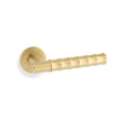 Alexander & Wilks - Spitfire Bamboo Lever on Rose - Satin Brass PVD aw225sbpvd