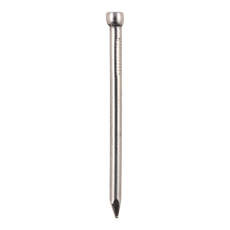 This is an image of Timco - Round Lost Head Nails - Bright 50 x 3.00mm (0.5 Kg TIMbag) BLH50MB