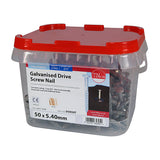 This is an image of Timco - Drive Screws - Galvanised 50 x 5.40mm (2.5 Kg TIMtub) DSN50T