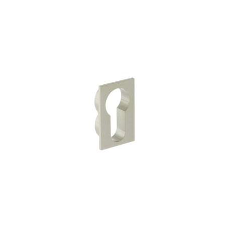 Quality image of Forme Concealed Rose Euro Escutcheons Square - Satin Nickel | Sku. fcsescesn | available from Trade Door Handles.
