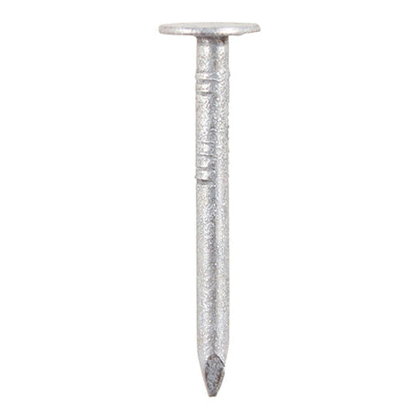 This is an image of Timco - Clout Nails - Galvanised 65 x 3.75mm (1 Kg TIMbag) GCN65B