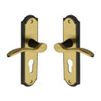 High quality image of the Heritage Brass Door Handle for Euro Profile Plate Howard Design Patina &amp; Satin Brass Finish
 | Sku. how1348-pt | Discounted prices available from Trade Door Handles