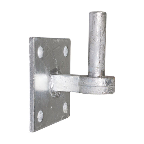 This is an image of Timco - Hook on Square Plate - Hot Dipped Galvanised 19mm (1 Each Unit) HSP19GEA