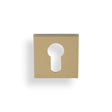 High quality image of Valli Euro Profile Push-on Square Rosette Escutcheon - Polished Brass PVD| Sku. K1101SQPBPVD |Trade Door Handles.