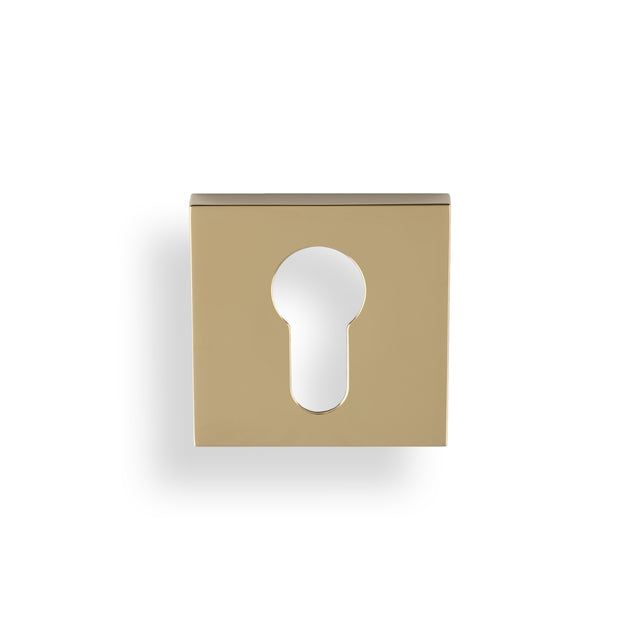High quality image of Valli Euro Profile Push-on Square Rosette Escutcheon - Polished Brass PVD| Sku. K1101SQPBPVD |Trade Door Handles.