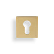 High quality image of Valli Euro Profile Push-on Square Rosette Escutcheon - Satin Brass PVD| Sku. K1101SQSBPVD |Trade Door Handles.