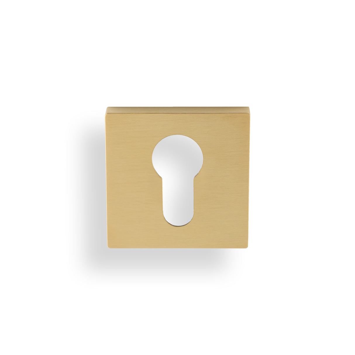 High quality image of Valli Euro Profile Push-on Square Rosette Escutcheon - Satin Brass PVD| Sku. K1101SQSBPVD |Trade Door Handles.