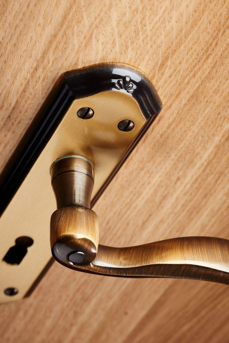 Locking Door Handle on backplate DL340FB
