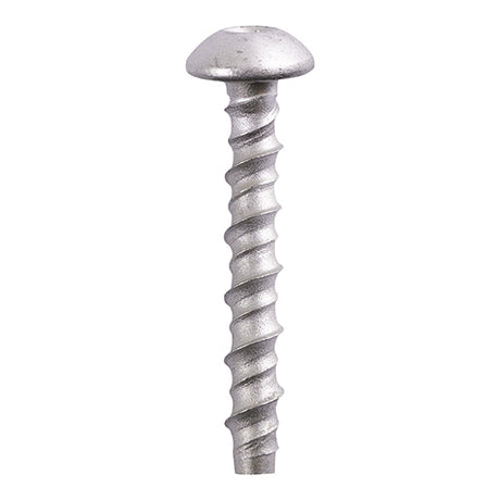 This is an image of Timco - Multi-Fix Masonry Bolts - Pan - Exterior - Silver 10.0 x 100/M12 - (50 PCS Box) MF10100P