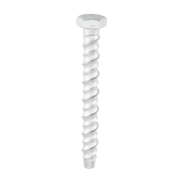 This is an image of Timco - Multi-Fix Masonry Bolts - Hex - Exterior - Silver 10.0 x 100mm - (50 PCS Box) MF10100