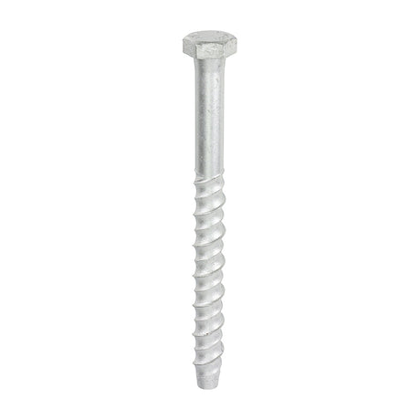 This is an image of Timco - Multi-Fix Masonry Bolts - Hex - Exterior - Silver 12.0 x 150mm - (25 PCS Box) MF12150