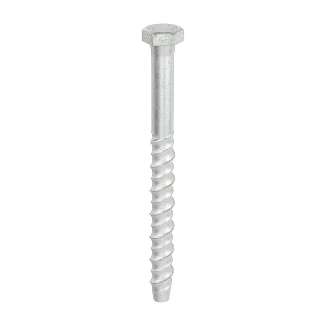 This is an image of Timco - Multi-Fix Masonry Bolts - Hex - Exterior - Silver 12.0 x 150mm - (25 PCS Box) MF12150